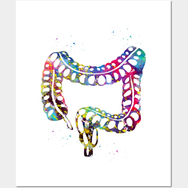 Lower gastrointestinal tract Wall Art by erzebeth